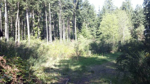 Property Photo:  0xxx Hermit Ridge  WA 98370 