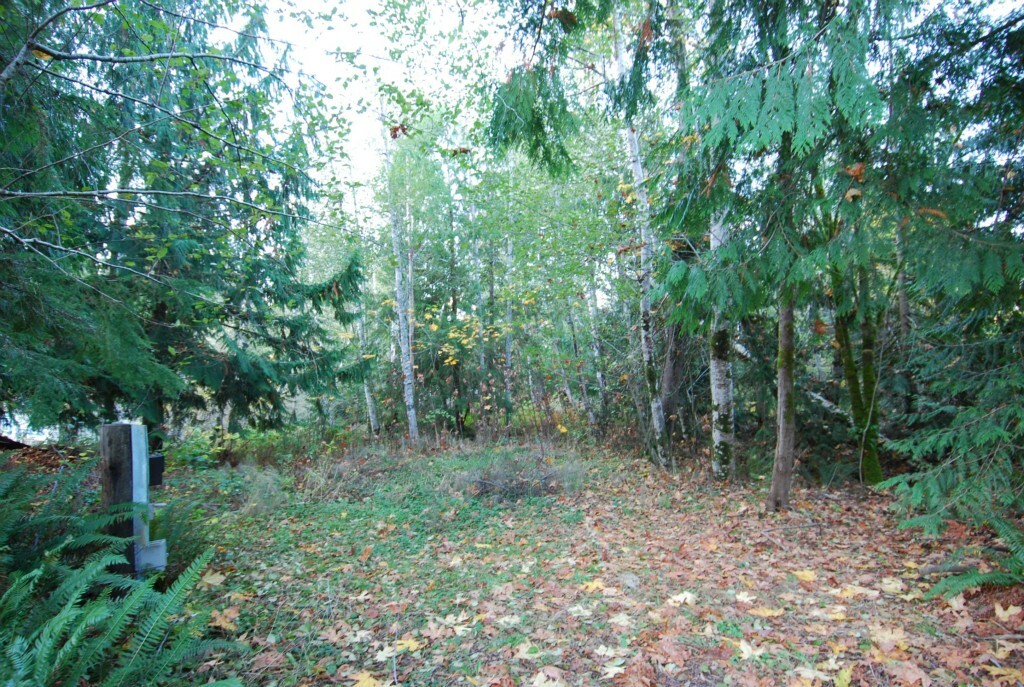 Property Photo: 350 SE Alpine Ave WA 98584