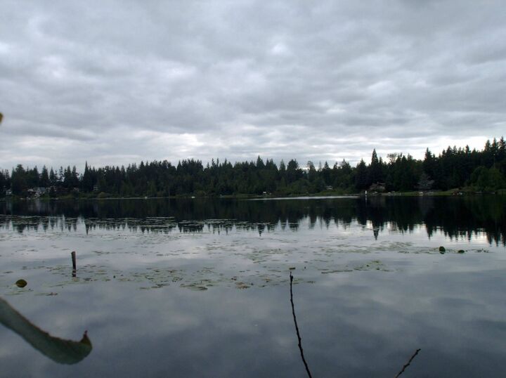 Property Photo:  173xxx Lake Desire Dr SE  WA 98058 