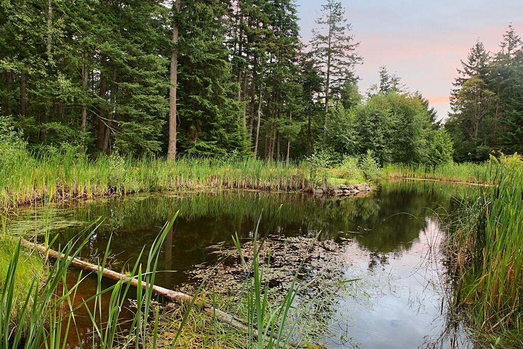 Property Photo:  925 Classic Rd  WA 98253 