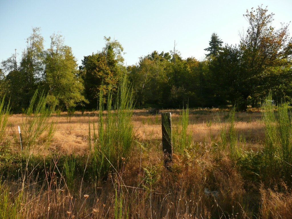 Property Photo: 0xxxx 36th Ave NE WA 98506