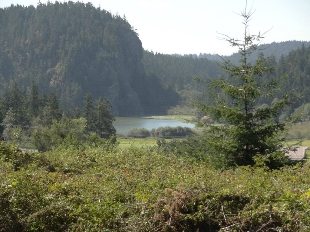 Property Photo: 5285 Campbell Lake Rd WA 98221