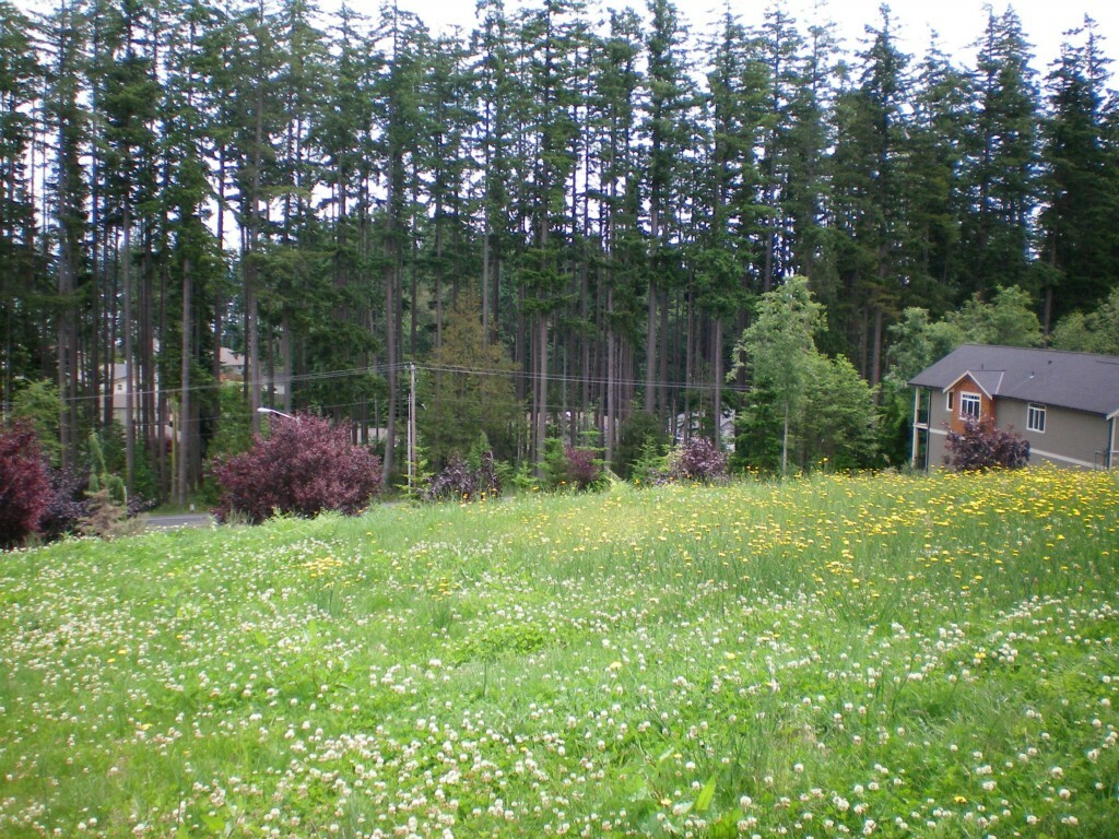 Property Photo:  9999 Zermatt Ct  WA 98282 