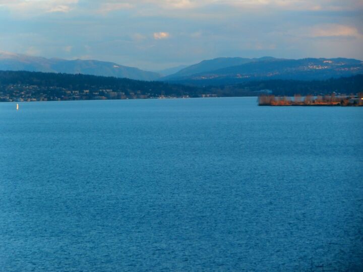 11700 Lakeside Ave NE  Seattle WA 98125 photo