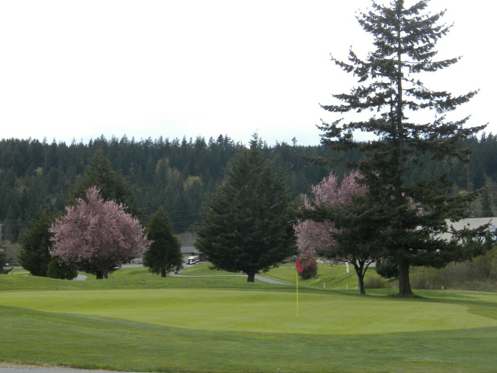 Property Photo: 313 Melrose WA 98282