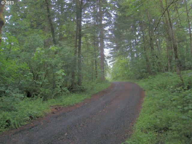 Property Photo:  21 Cougar Creek Rd  WA 98648 