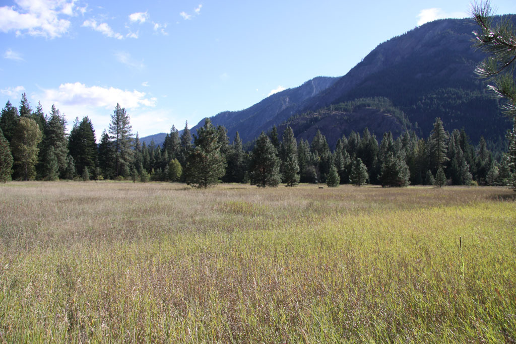 Property Photo:  Lot 6 Methow Ranch Rd  WA 98862 