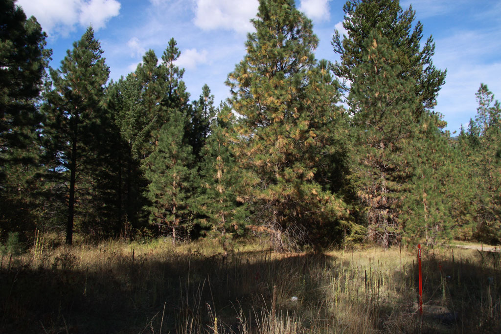 Property Photo:  Lot 7 Methow Ranch Rd  WA 98862 