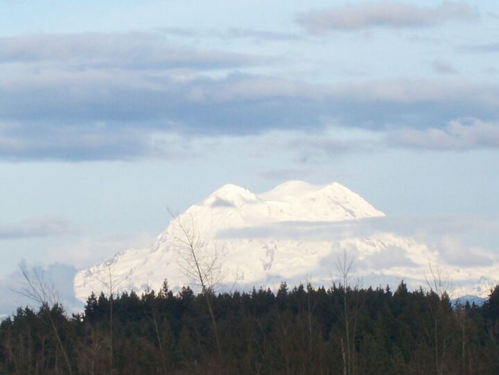 Property Photo: 16044 Lawrence Place SE WA 98597