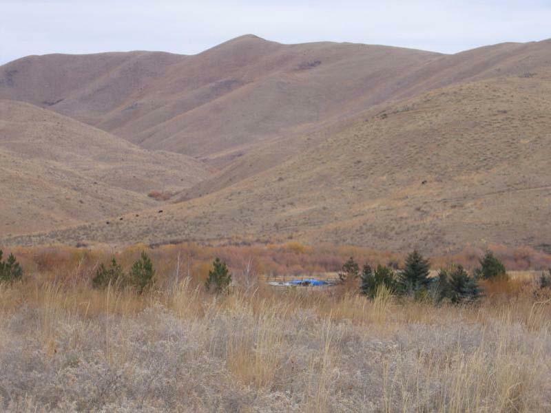 Property Photo:  Willow Creek Road  ID 83327 