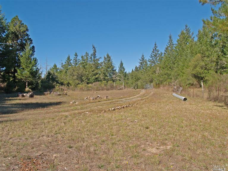 15550 Coleman Valley Rd  Occidental CA 95465 photo