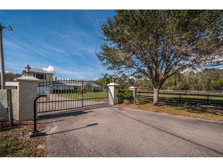 Property Photo: 15530 Furlong Circle FL 33556