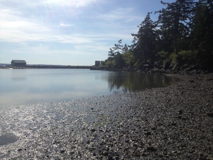 0 North Bay Lane  San Juan Island WA 98250 photo