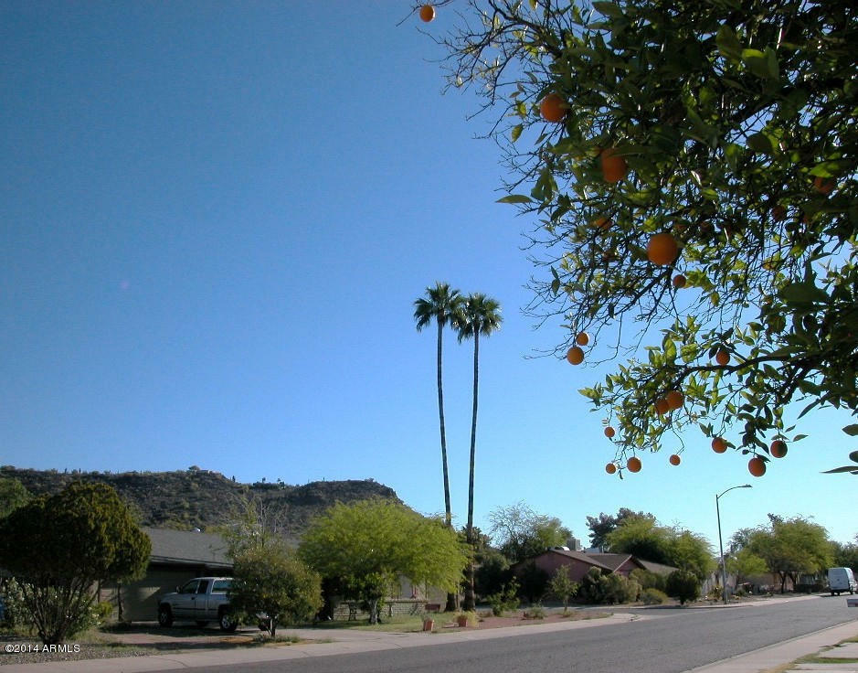 Property Photo:  1611 W Andora Drive  AZ 85029 