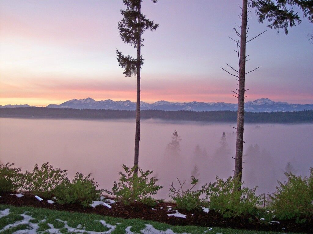 Property Photo:  383 NE Romance Hill Road E  WA 98528 