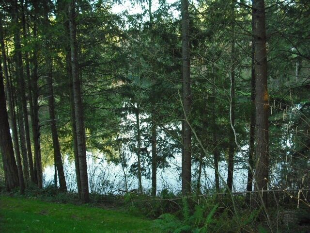 Property Photo:  22111 N Clearlake Blvd SE  WA 98597 