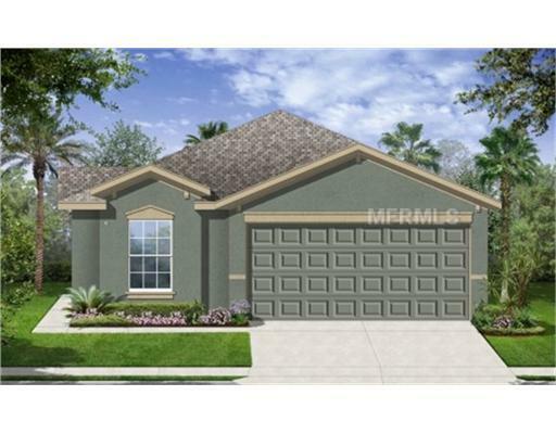 Property Photo:  950 Seminole Sky Drive  FL 33570 