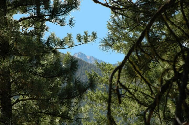 Property Photo:  0 Elderberry Rd  WA 98862 