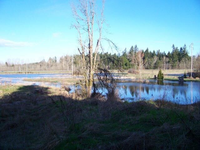 Property Photo:  12315 Koeppen Rd SE  WA 98576 