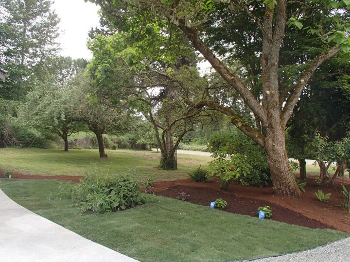Property Photo:  200 E Lake Sammamish Pkwy  WA 98074 