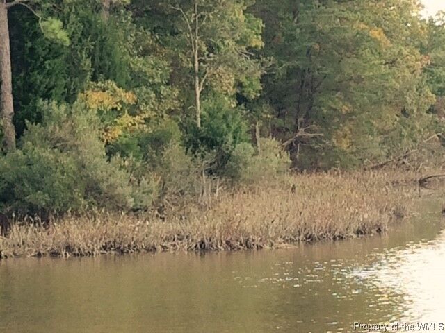 Property Photo: 1090 S Henry Street VA 23185