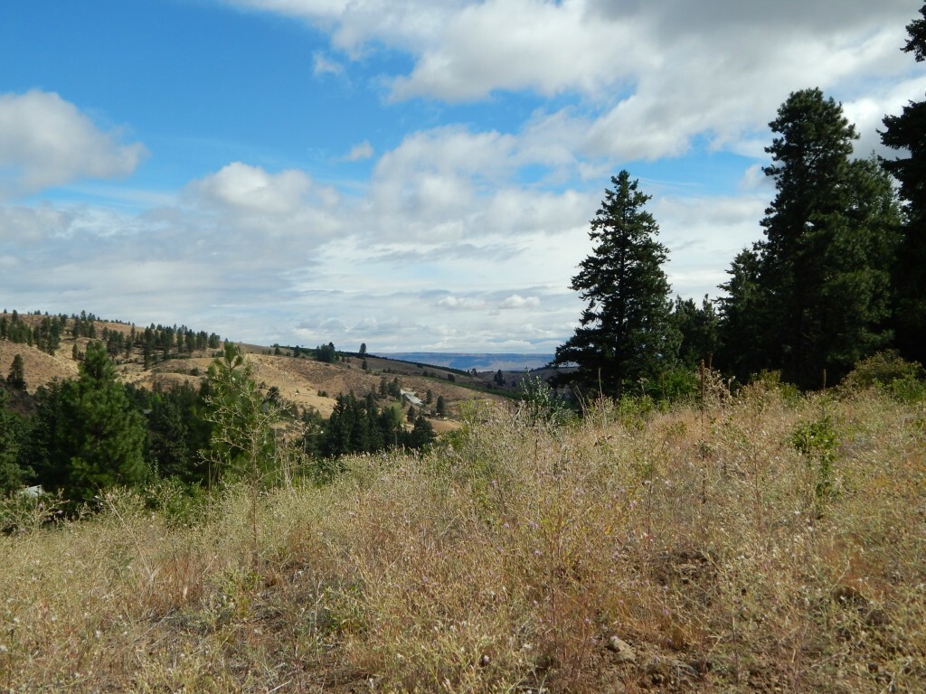 Property Photo: 0 Squilchuck Rd WA 98801