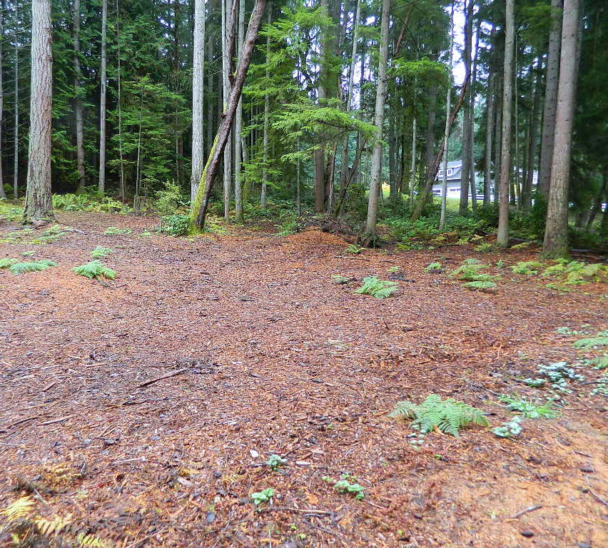 Property Photo:  1 Xxx  24th Avenue NW  WA 98332 