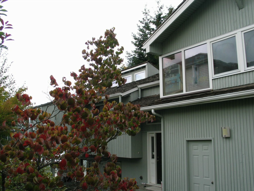 Property Photo:  10418 Marine View Dr  WA 98275 