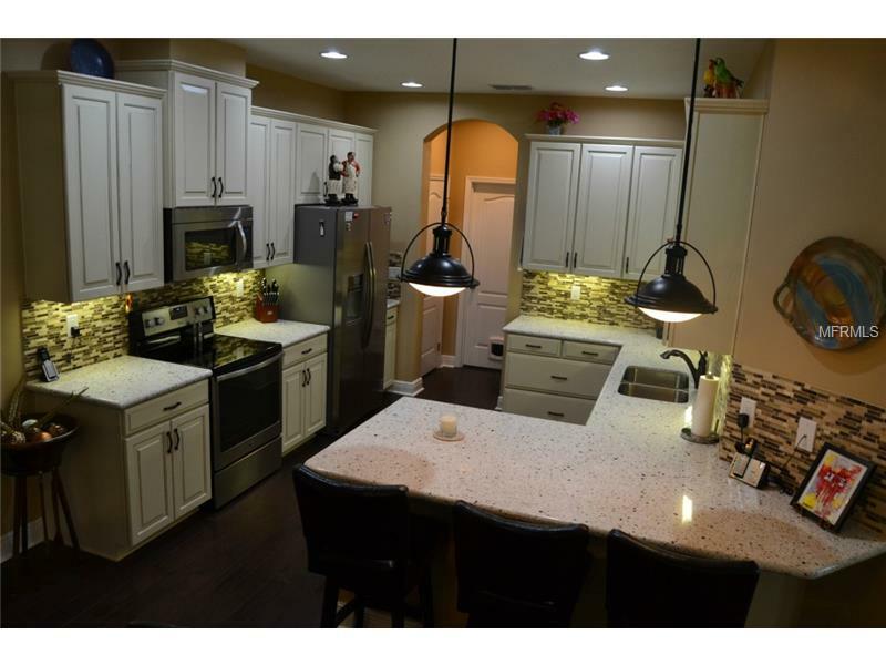 Property Photo:  127 Villa Preserve Avenue  FL 33548 