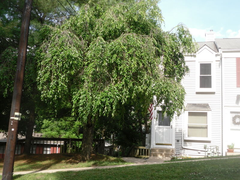 Property Photo: 1 Colonial Ct NJ 08829