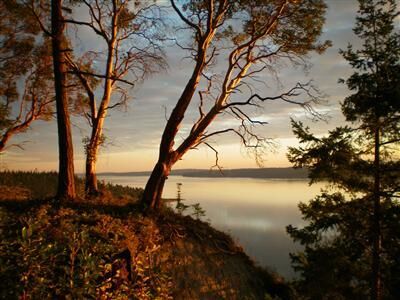 Property Photo: 368 Sunset View Wy WA 98282