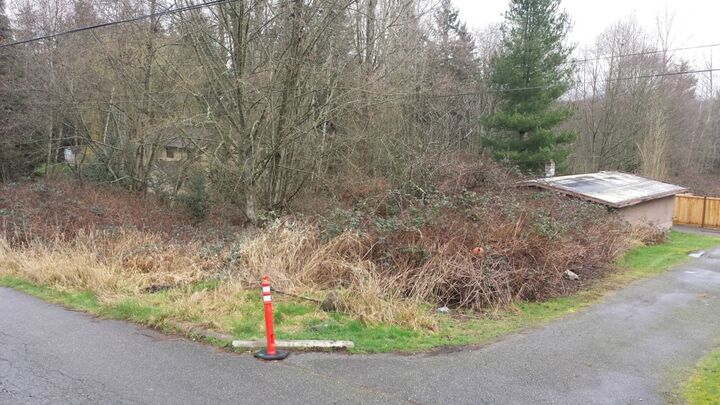 231 7th Ave SE  Bothell WA 98021 photo