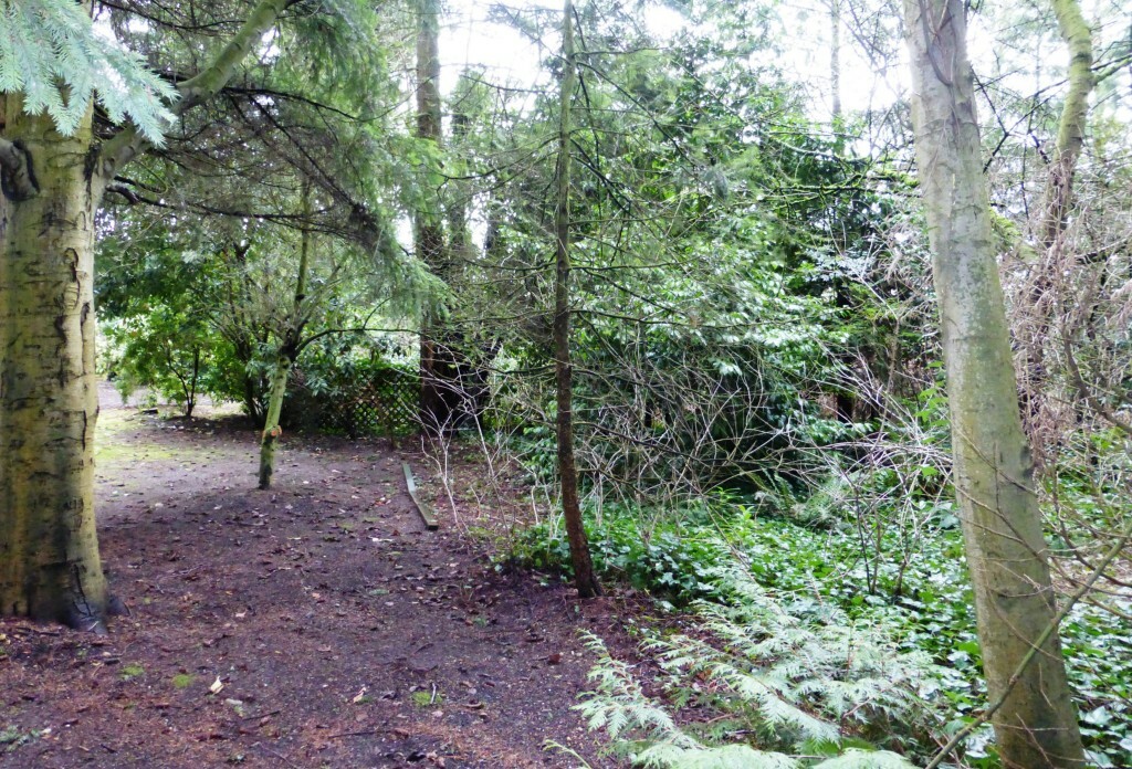 Property Photo:  2300 126th Ave NE  WA 98005 