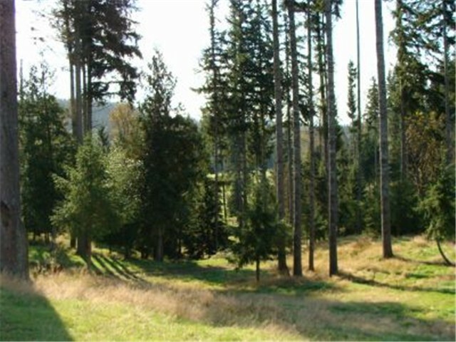 Property Photo:  248 Woods Creek Road  WA 98290 