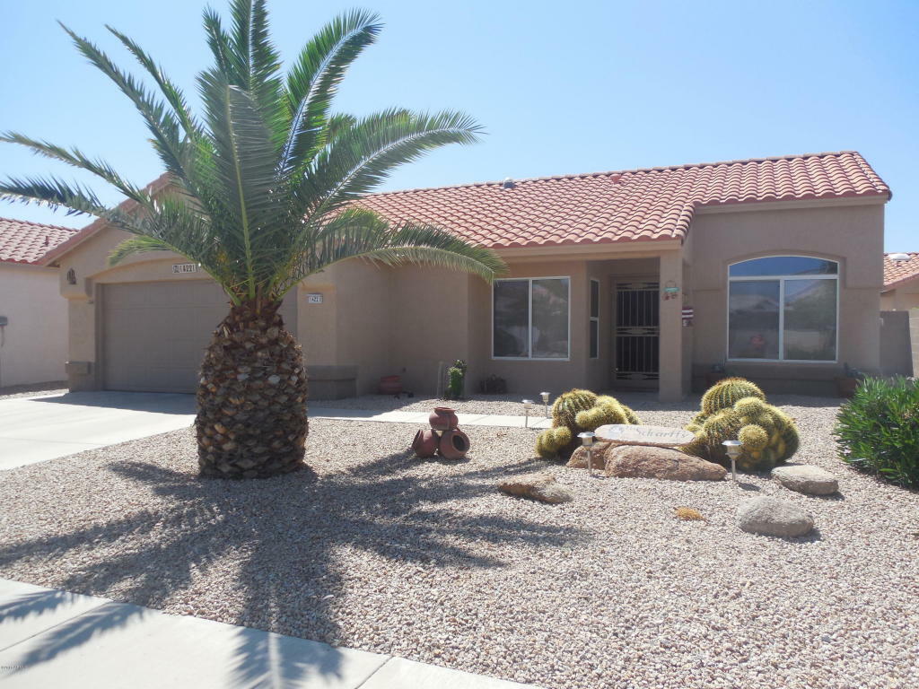 Property Photo:  14221 W Colt Lane  AZ 85375 