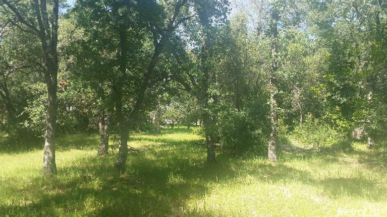 Property Photo: 0 Indian Rock Lane CA 95603