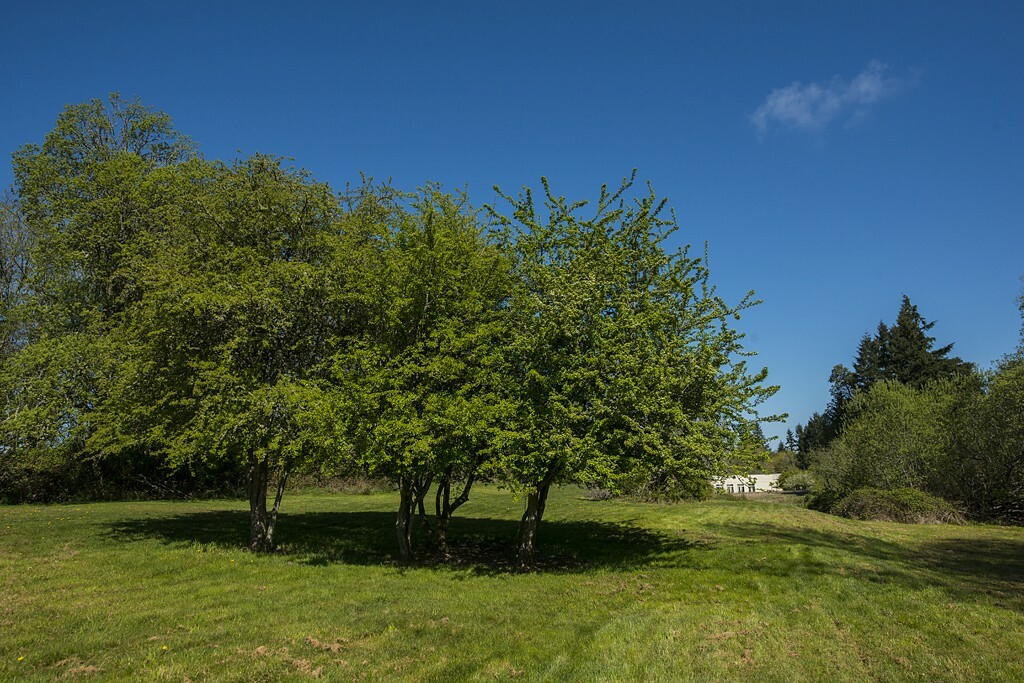 Property Photo:  10130 NE Kitsap St  WA 98110 