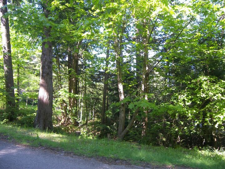 2944 Cedar Ave  Lummi Island WA 98262 photo