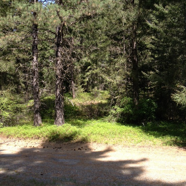 Property Photo:  0 Sandelin Lane  WA 98940 