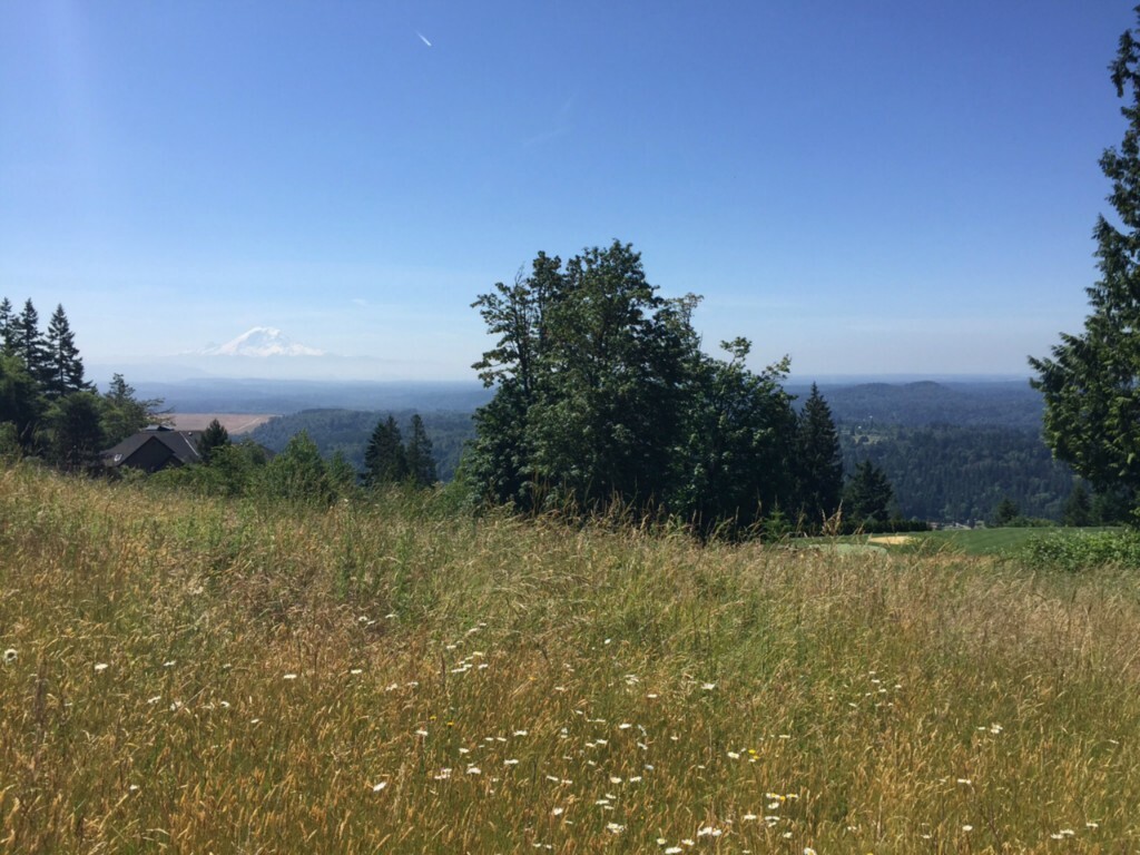Property Photo: 115 206th Place SE WA 98027
