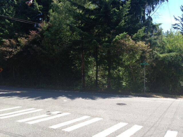 19010 92nd Ave NE  Bothell WA 98011 photo