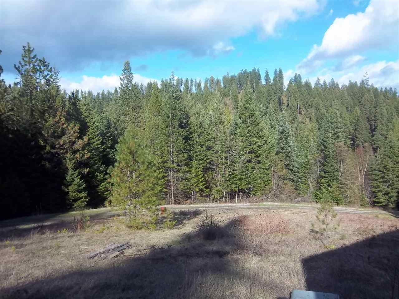 Property Photo: Xxx N Travis Rd WA 99021