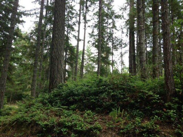 Property Photo:  0 106th St Kpn  WA 98329 
