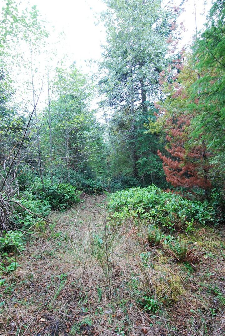 Property Photo:  Xxx E Mason Lake Dr W  WA 98546 