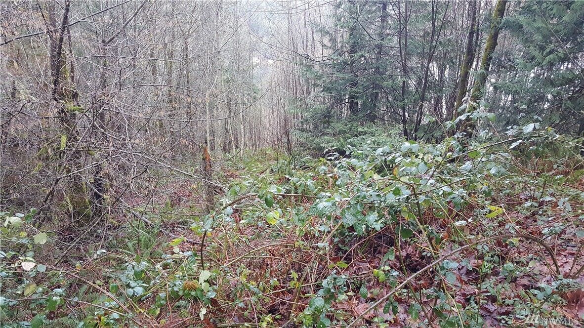 Property Photo:  1111 Turkey Rd NW  WA 98502 