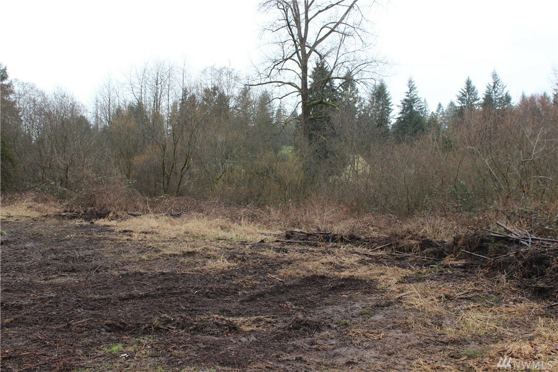 Property Photo:  0 Broadway Ave  WA 98296 