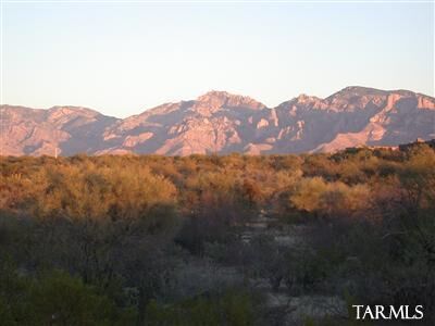 Property Photo:  13038 N Kenosha Bluff Drive  AZ 85658 