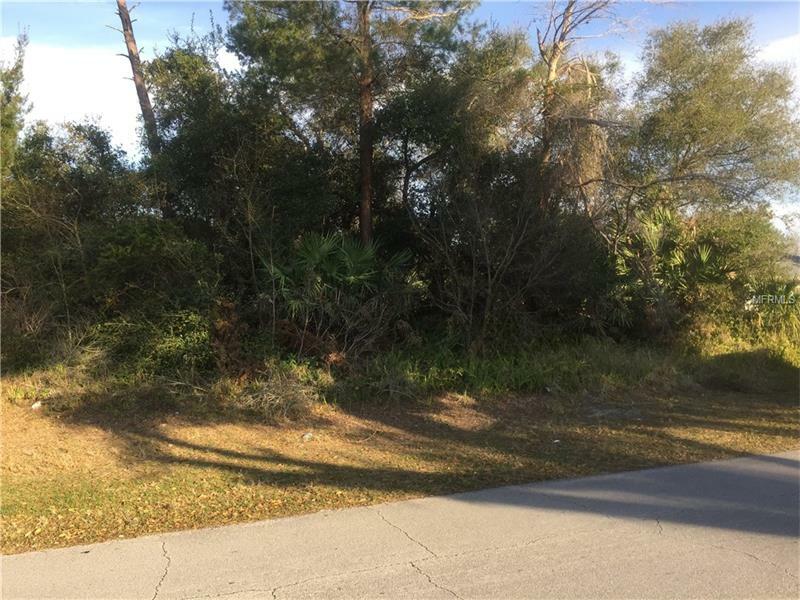 Property Photo:  1481 Quintara Avenue  FL 32738 