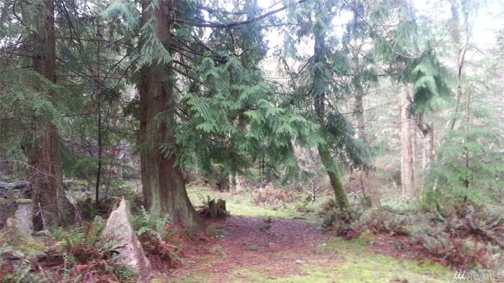 Property Photo: 37 Thatcher Pass Rd WA 98221