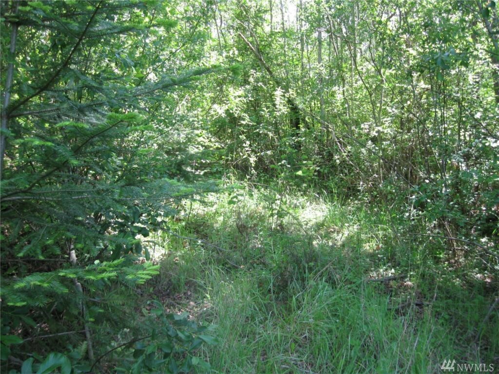 Property Photo: 0 W Camano Dr WA 98282